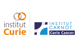 curie cancer Curie