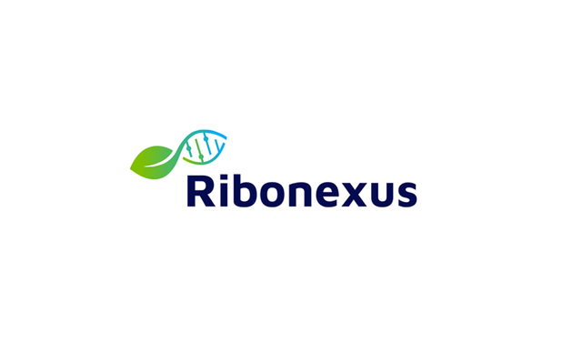 Ribonexus