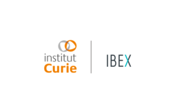IC & Ibex